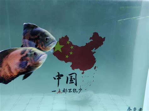 魚死掉要換水嗎